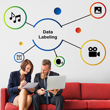 Data Labeling Services